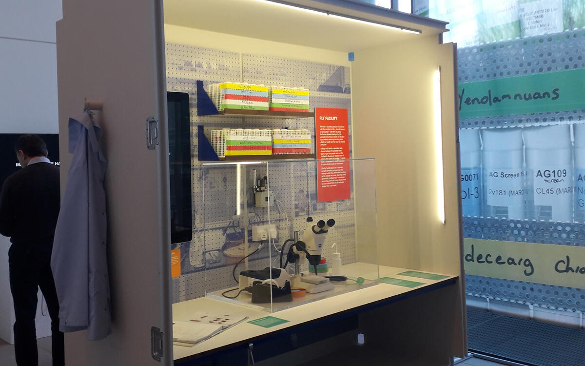 A display case containing objects relating to the work of fly facility technicians, part of the Craft and Graft exhibition celebrating technicians' work. Photo: Sara Peres 