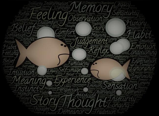 An illustration of two fish, surrounded by text which uses words to identify key aspects of underwater immersion 
