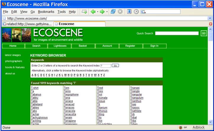 Ecoscene keywordsearch.jpg