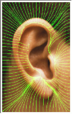 [Using an ear for biometrics]